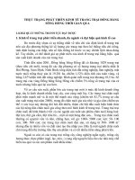 THỰC TRẠNG PHÁT TRIỂN KINH TẾ TRANG TRẠI ĐỒNG BẰNG SÔNG HỒNG THỜI GIAN QUA