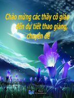 Nam cham vinh cuu