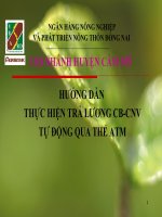 huong dan thu tuc tra luong qua tai khoan