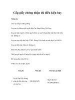 Cấp giấy chứng nhận đủ điều kiện bay