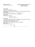 Đề thi CL học kỳ I môn toán Trường DTNT