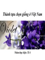 Bài giảng Thành tựu chọn giống ở Việt Nam