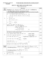 Gián án Dap an de thi HSG Thai Binh Nam hoc 2010