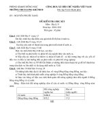 de kiem tra HKI(cau truc)