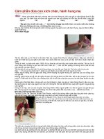 Gián án Căm phẫn đứa con xích mẹ