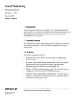 Oracle 10g Data Mining Administrators Guide WW