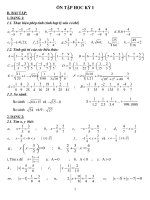 de cuong on tap - Toan 7 HKI