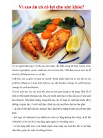 Vì sao ăn cá có lợi cho sức khỏe?