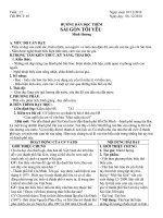 Gián án nv7 tuần 17 - 2010