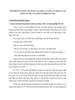 TÌNH HÌNH TỔ CHỨC KẾ TOÁN VẬT LIỆU VÀ CÔNG CỤ DỤNG CỤ Ở CÔNG TY DỆT VẢI CÔNG NGHIỆP HÀ NỘI