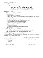 NỘI DUNG ÔN TẬP MÔN TOÁN KHỐI 10 (Học kỳ 1, Năm học 2010-2011)