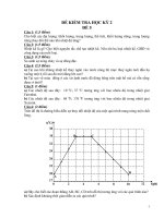 Bài giảng Đề kiểm tra học kỳ 1 Vật lý 6