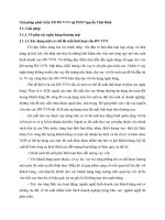 Giải pháp phát triển TD DN VVN tại PGD Nguyễn Thái Bình