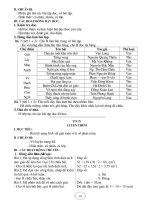 Gián án GIÁO ÁN L5 TUẦN 18