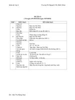 Giáo án khối 2 tuần 3 CKTKN