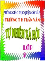 Tài liệu TNXH TUAN 24