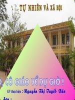 Bài soạn Con ga- TNXH1-Tuyet