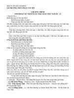 KH inh hoạt ngày 20 - 11- 2010