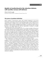 Models of motherhood in the abortion debate - self-sacrifice versus self-defence