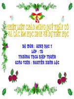 Gián án TIET 45. DA DANG VA DAC DIEM CHUNG CUA LOP CHIM