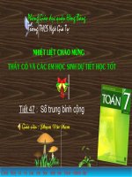 Gián án Tiết 47: Số trung bình cộng_thi GVG quận