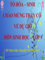 Bài giảng Di truyền học