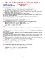 Tự Học Ôn Thi HKI Hóa 10 ( 2010-2011)