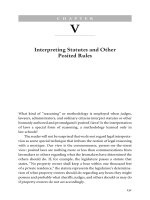 Interpreting Statutes and Other Posited Rules