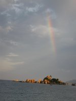 Bài soạn Bài 10. Tương tác gen