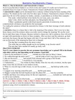 Gián án Restrictive-Non-Restrictive Clauses