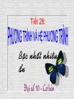 Phương trình và hệ phương trình bậc nhất nhiều ẩn.