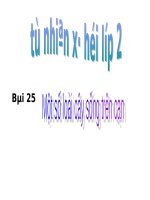 Bài soạn TNXH CAY SONG TREN CAN