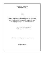 Chiến lược kinh doanh sản phẩm gỗ trên thị trường nội địa tại công ty cổ phần xuất nhập khẩu và đầu tư kontum  