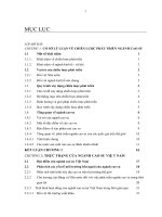 Chiến lược phát triển ngành cao su việt nam đến năm 2015 