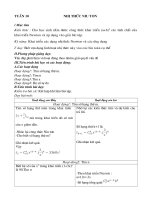 Gián án giáo án tự chọn Tuần 10.doc