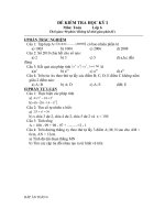 Bài giảng DE KTHK I TOAN 6.5