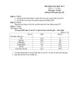 Đề + ĐA HKI 11CB (10-11)