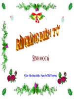 Bài giảng Tiết 42 sinh 6 những điều kiện nảy mầm của ...