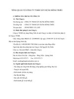 TỔNG QUAN VỀ CÔNG TY TNHH XÂY DỰNG ĐÔNG TRIỀU