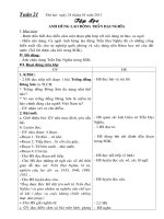 Bài soạn Giao an T21-L4-CKTKN+BVMT