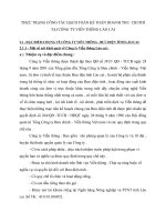 THỰC TRẠNG CÔNG TÁC HẠCH TOÁN KẾ TOÁN DOANH THU  CHI PHÍ TẠI CÔNG TY VIỄN THÔNG LÀO CAI