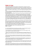 BỆNH VÔ CẢM TRONG GD