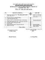 KH Công tác Đội Tháng 12-2010