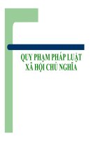 slide báo cáo QUY PHẠM PHÁP LUẬT XÃ HỘI CHỦ NGHĨA