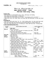 Bài soạn GA lớp 1 Tuần 21-CKT,KNS