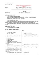 GIÁO ÁN LỚP 2 TUẦN 12