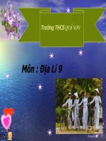 vung trung du mien nui bb