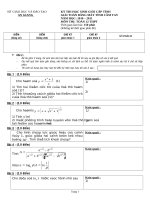 Đề thi HSG MTBT An Giang 2010