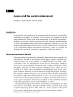 Genes and the social environment