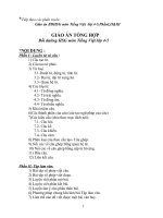 Giáo án BDHSG môn Tiếng Việt lớp 4+5